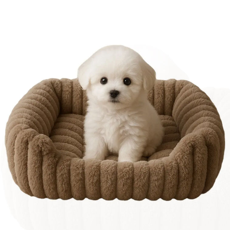Wolkenförmiges Hunde Bett