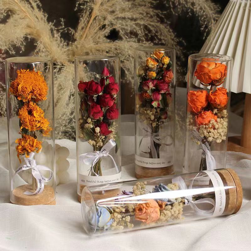 Konserviertes Blumendisplay im eleganten Glaskylinder
