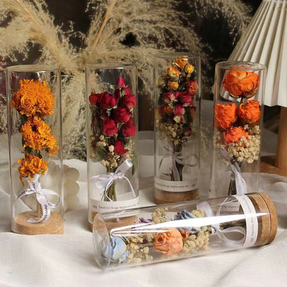 Konserviertes Blumendisplay im eleganten Glaskylinder
