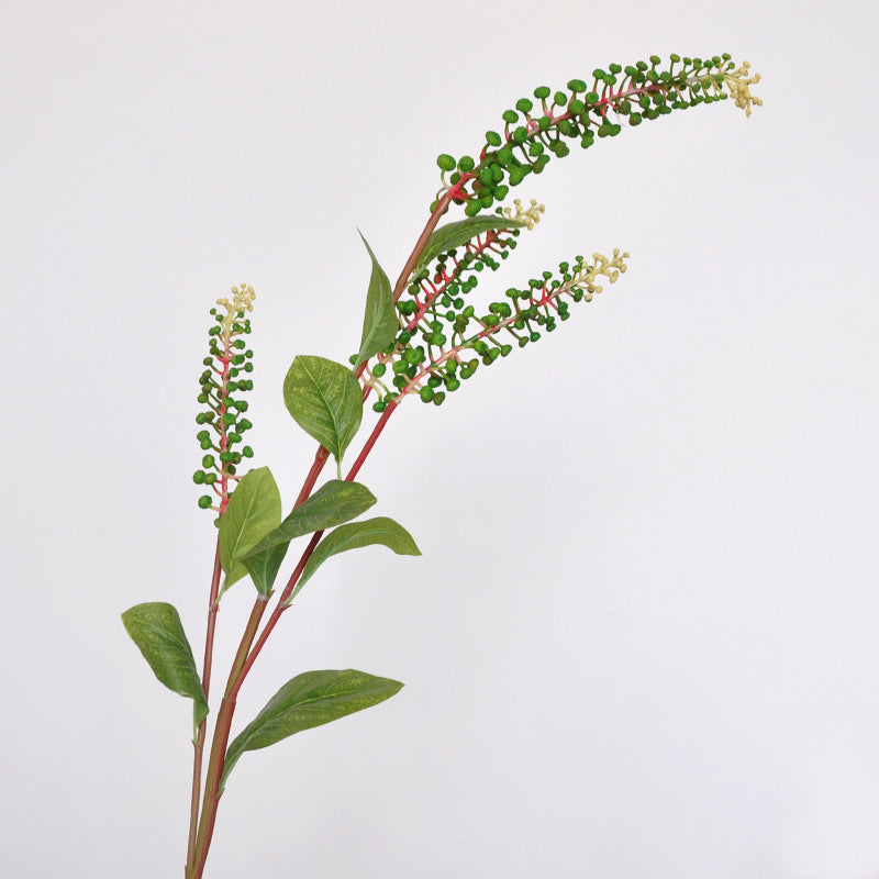 Dekorative Botanische Stängel