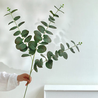 Dekorativer Eukalyptus-Stiel
