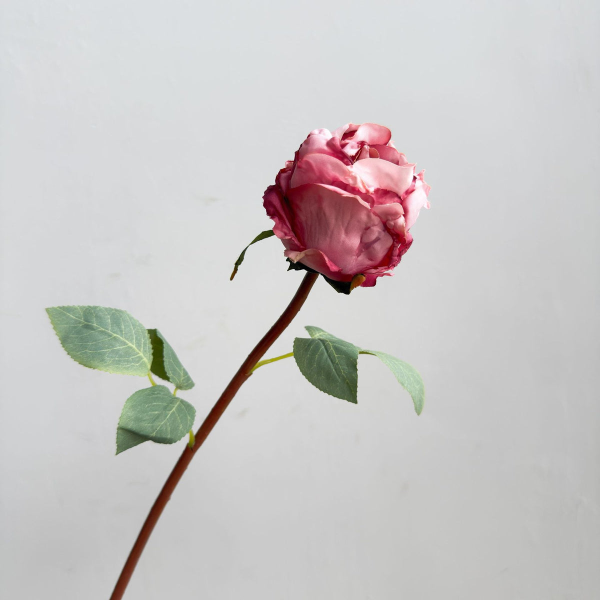 Natürlich aussehende Blumen Dekoration