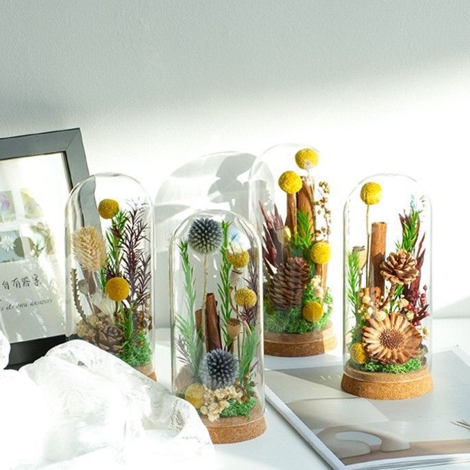 Moderner dekorativer floraler Terrarium