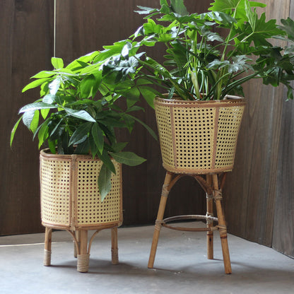 Stilvoller Pflanzenständer aus Rattan Brehn