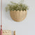 Wandkorb im eleganten Muschel-Design Brehn