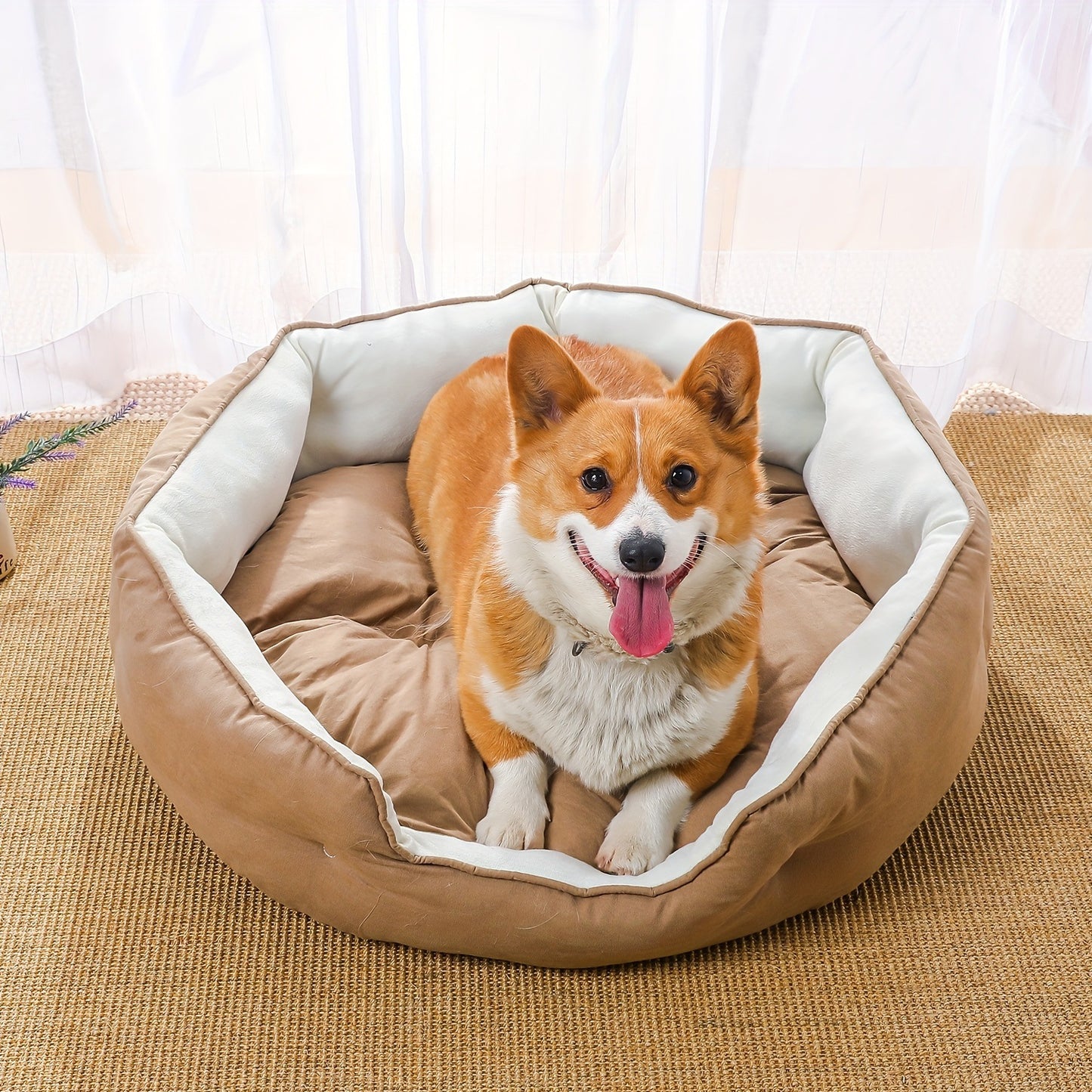 Gemütliches Rundes Hundebett