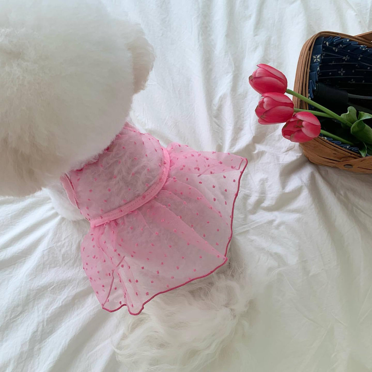 Durchsichtiges Organza-Punktemuster-Hundekleid mit Rüschensaum und Geschirröffnung