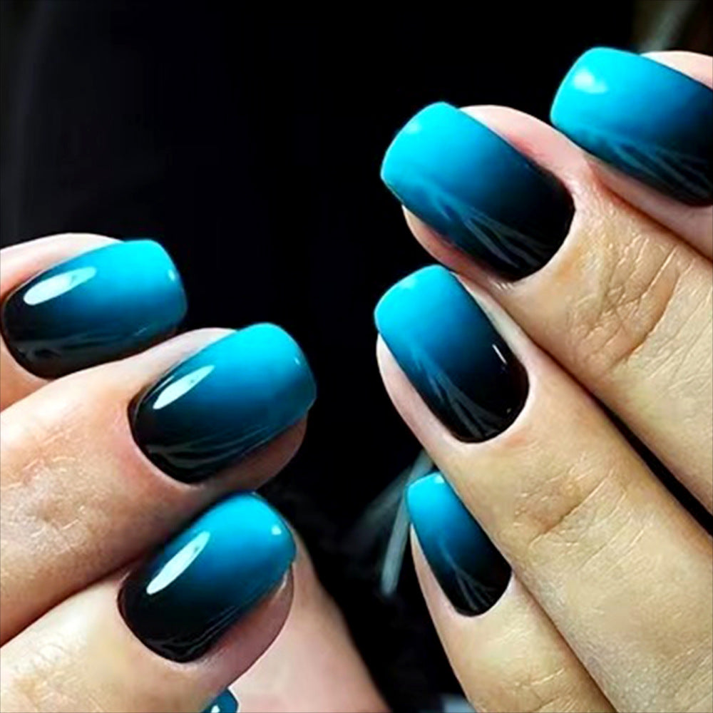 Ombre Nagelkunst Set
