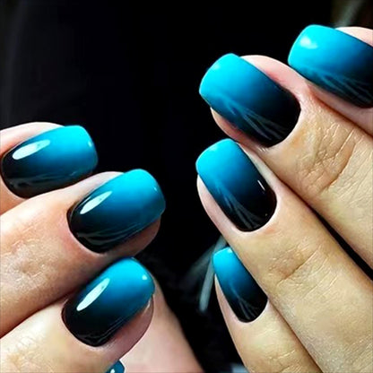 Ombre Nagelkunst Set