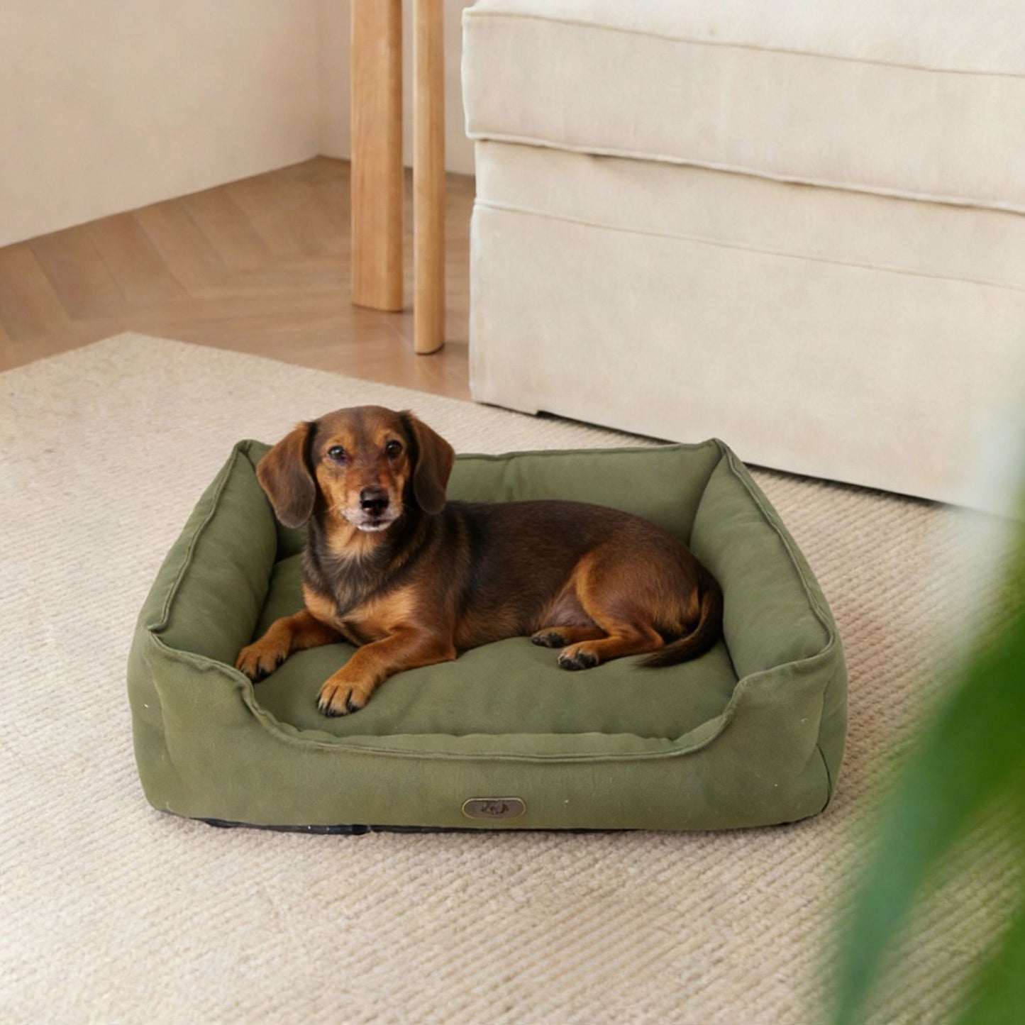 Haltbares Outdoor-Hundebett