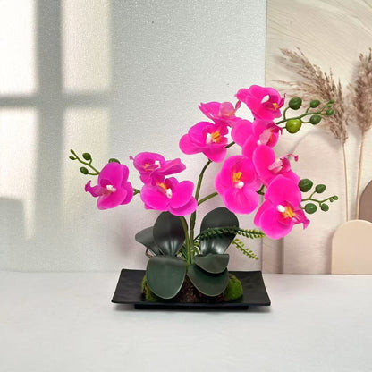 Orchideenblumenarrangement