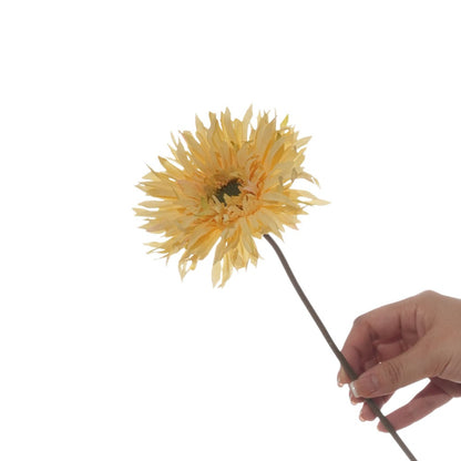 Lebensnahe Gerbera-Daisy-Stängel