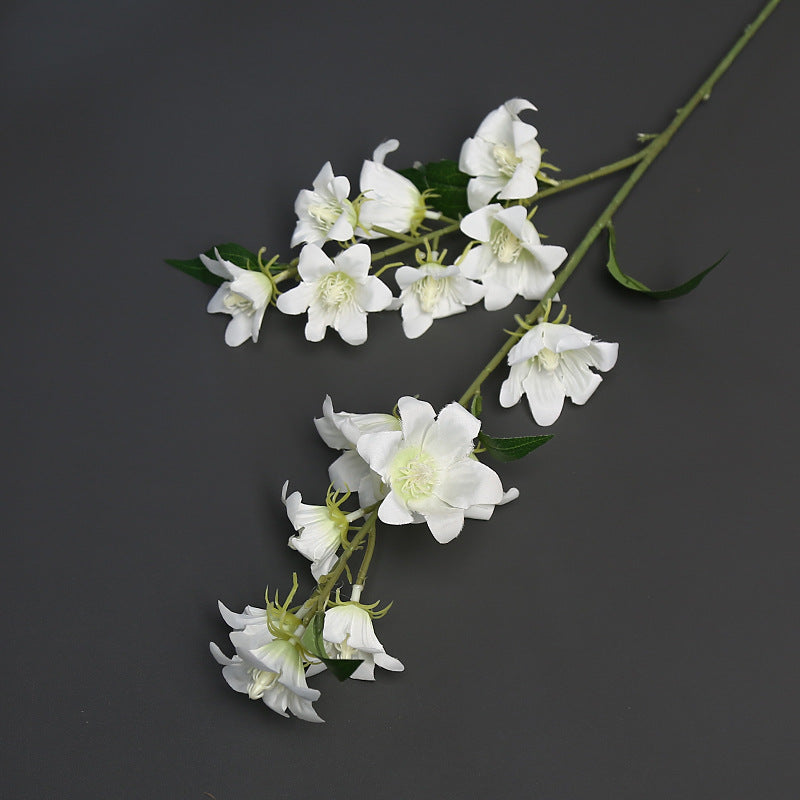 Florale Akzentstängel für die Wohnkultur-Darstellung