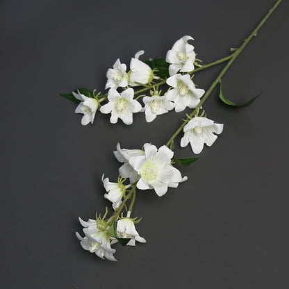 Florale Akzentstängel für die Wohnkultur-Darstellung
