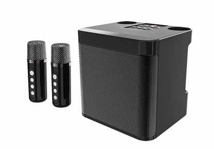Tragbares Karaoke-Lautsprecher-System Brehn