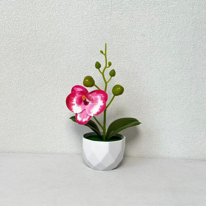 Orchideenpflanzenarrangement