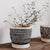 Blumentopfset Brehn