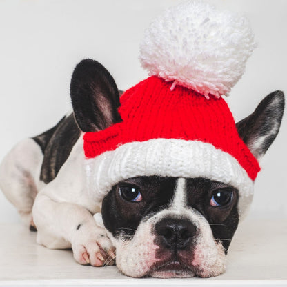 Lustige Weihnachtsmütze für Haustiere