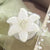 Luxus Handspiegel im floralen Design Brehn