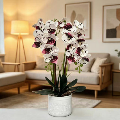 Dekorative Topfpflanzen-Orchideen-Anordnung für Tischdeko