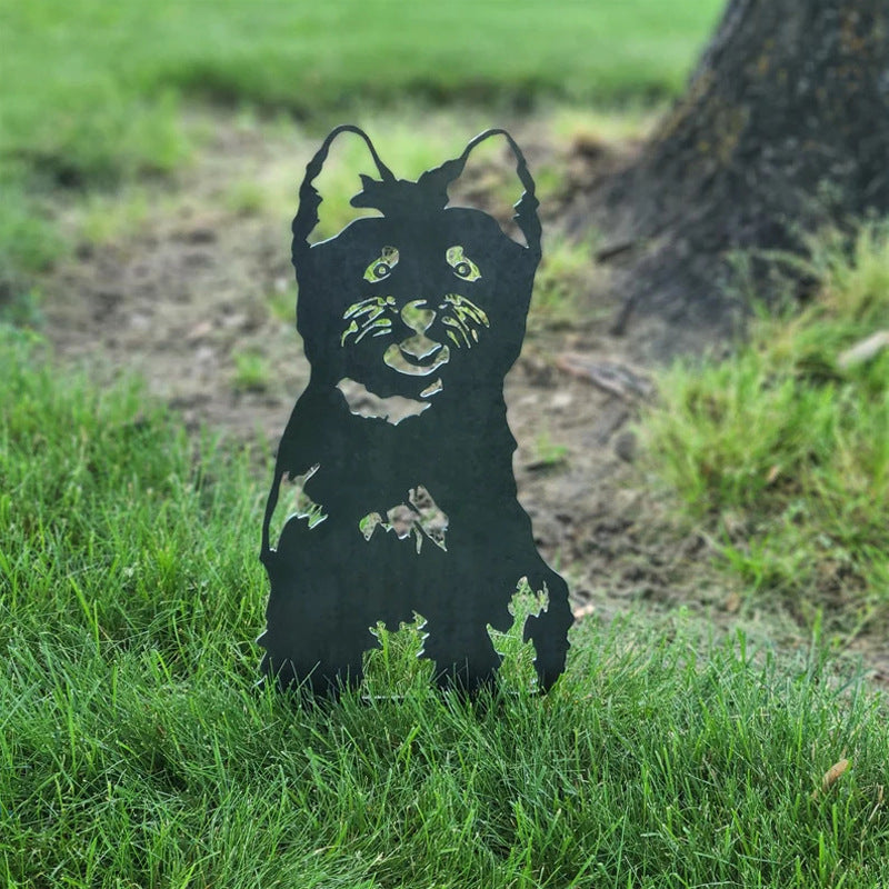 Cairn Terrier | Brehn