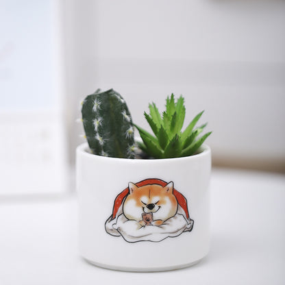 Niedlicher Tier-Themen-Sukkulenten-Planter Brehn
