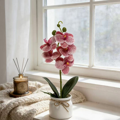 Lebensechte Orchideenpflanzenanordnung für die Innendekoration