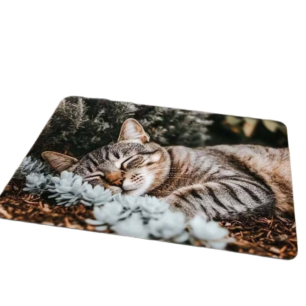 Dekorative Katzen Willkommen Matte Brehn