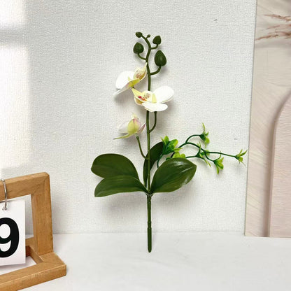 Elegante Orchideen Blumenarrangement