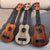 Holz Akustik Ukulele Brehn