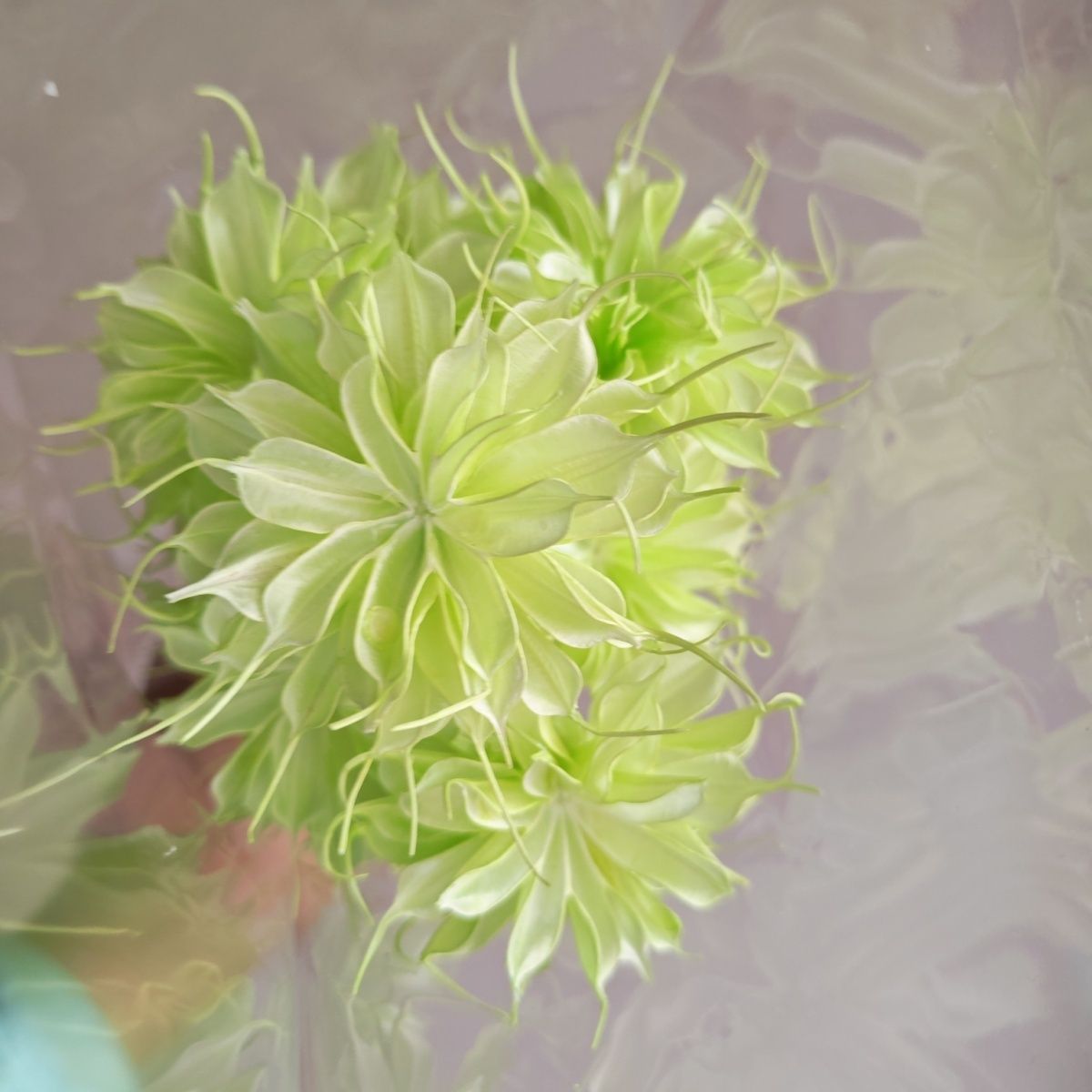 Lebensechte dekorative Blumensträuße