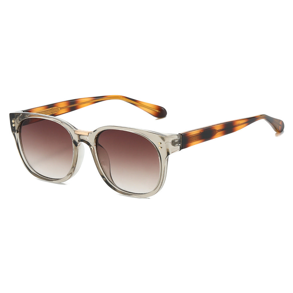 Damen modische Sonnenbrille mit transparentem Rahmen und eleganten Details Brehn