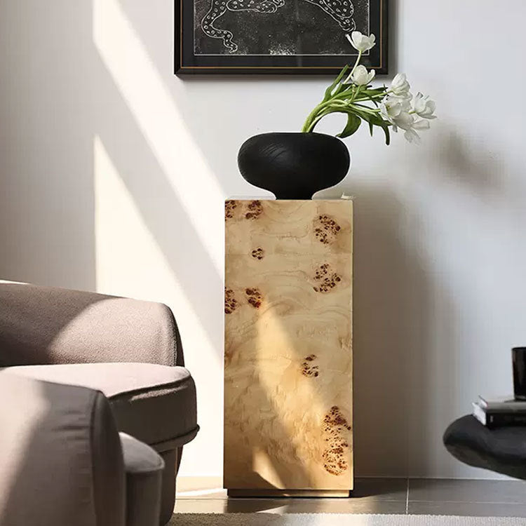 Moderner dekorativer Holzspeicher-Schrank