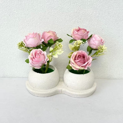 Elegante Blumenpflanzanordnung