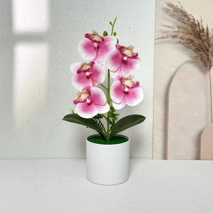 Lebensechte florale Orchideenpflanze für die Wohnkultur