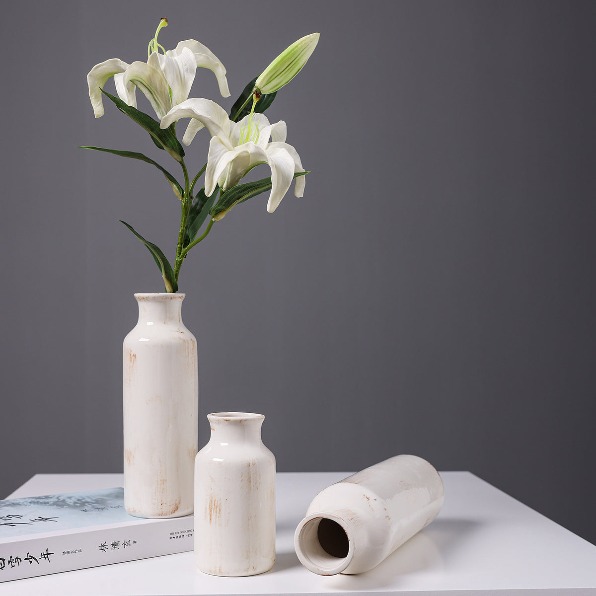 Moderner Minimalistischer Keramikvase