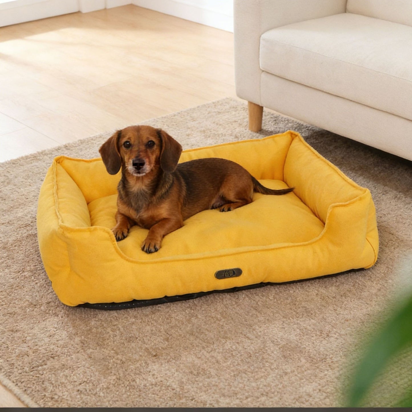 Premium Outdoor Hundebett