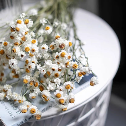 Getrockenes Blumenstrauß Arrangement