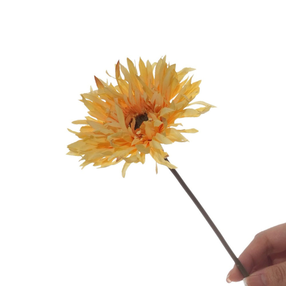 Lebensnahe Gerbera-Daisy-Stängel