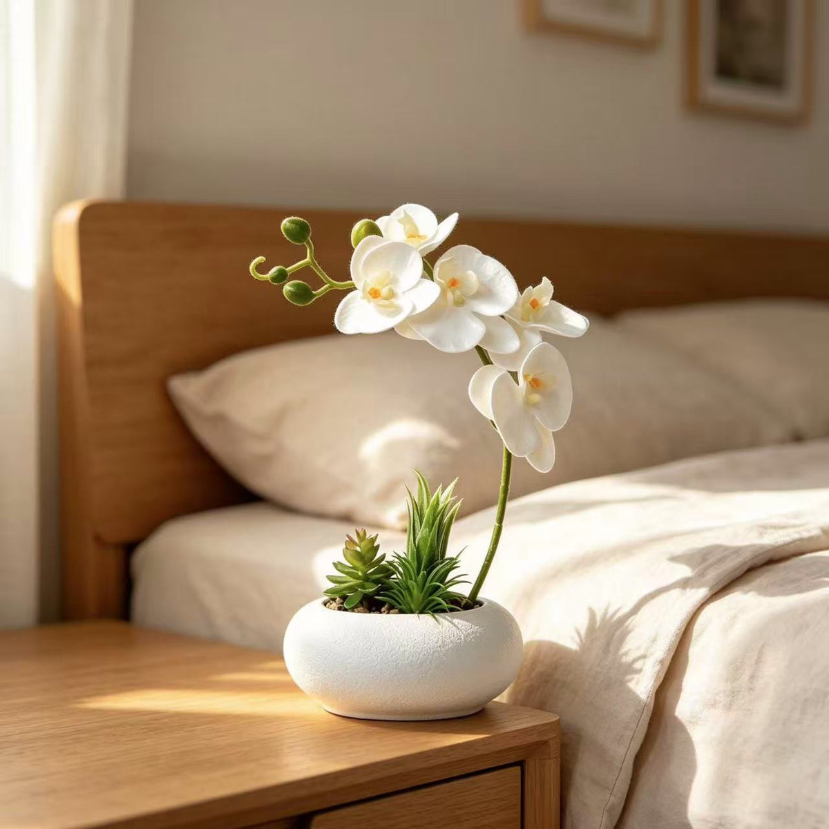 Eleganter Orchideen- und Sukkulentenpflanzer
