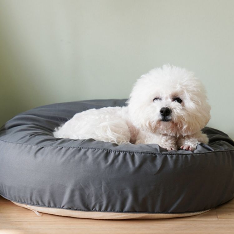 Runder Plüsch Lounger Hundebett