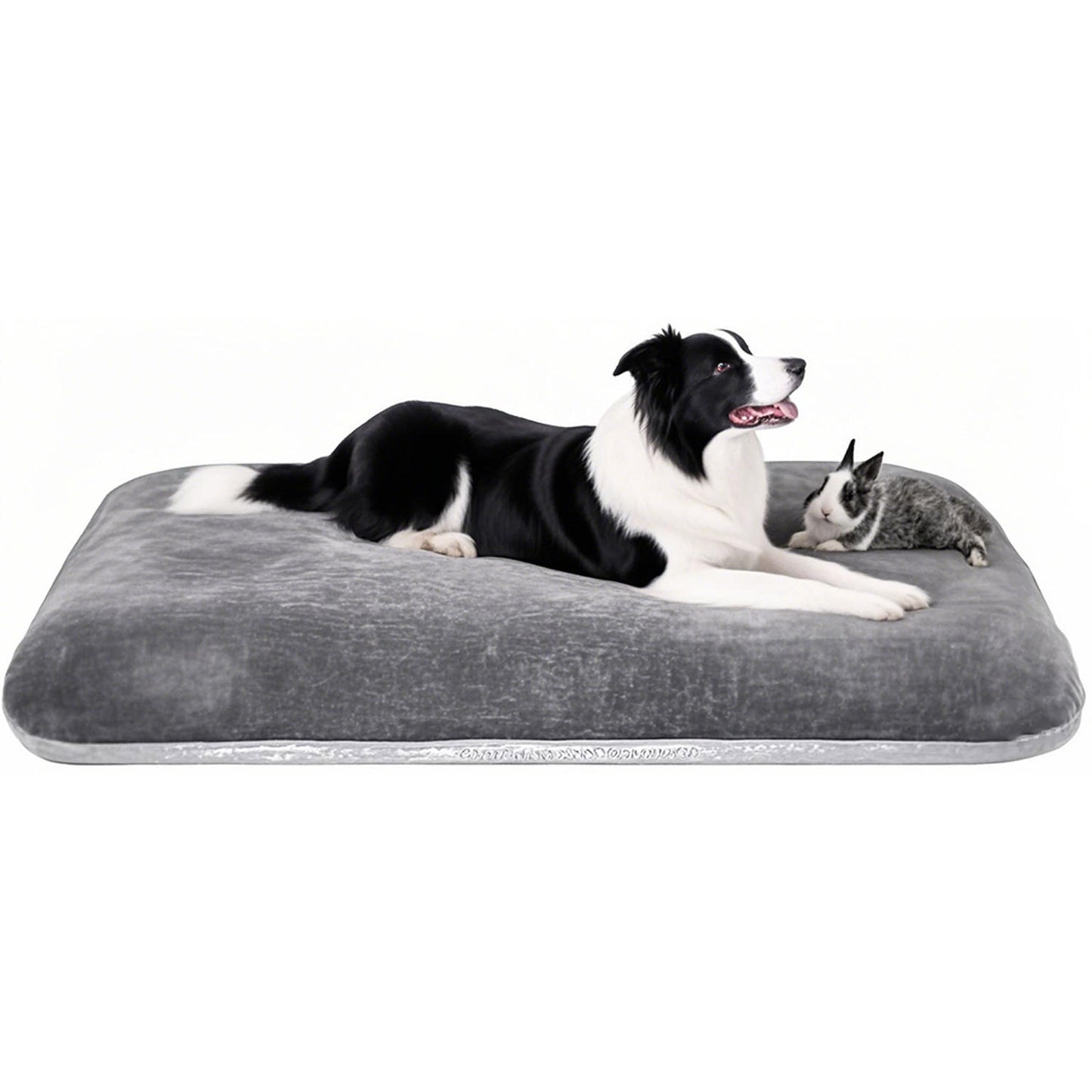 Orthopädisches Haustier Komfort Lounge Bett Hundebett