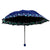 Damen Falt-Regenschirm mit detailliertem Floraldesign Brehn