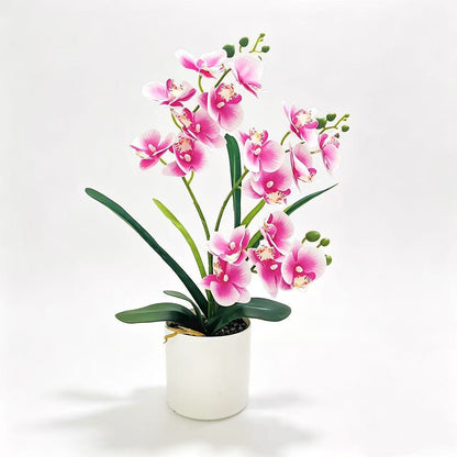 Lebensechte Künstliche Orchideen Pflanze Arrangement für Dekorative Dekoration
