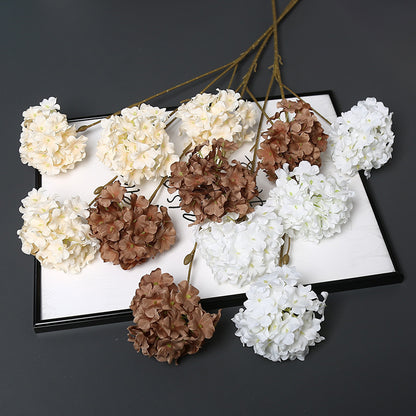 Dekorative getrocknete Blumenstängel für die Wohnkultur