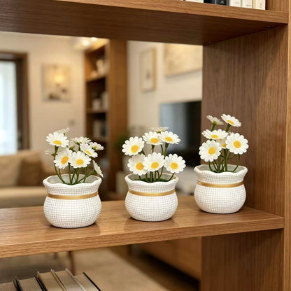 Dekorative Miniatur-Gänseblümchentöpfe