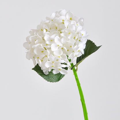 Elegante Kunsthortensienstängel