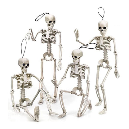 Anatomisches Lehrskelett