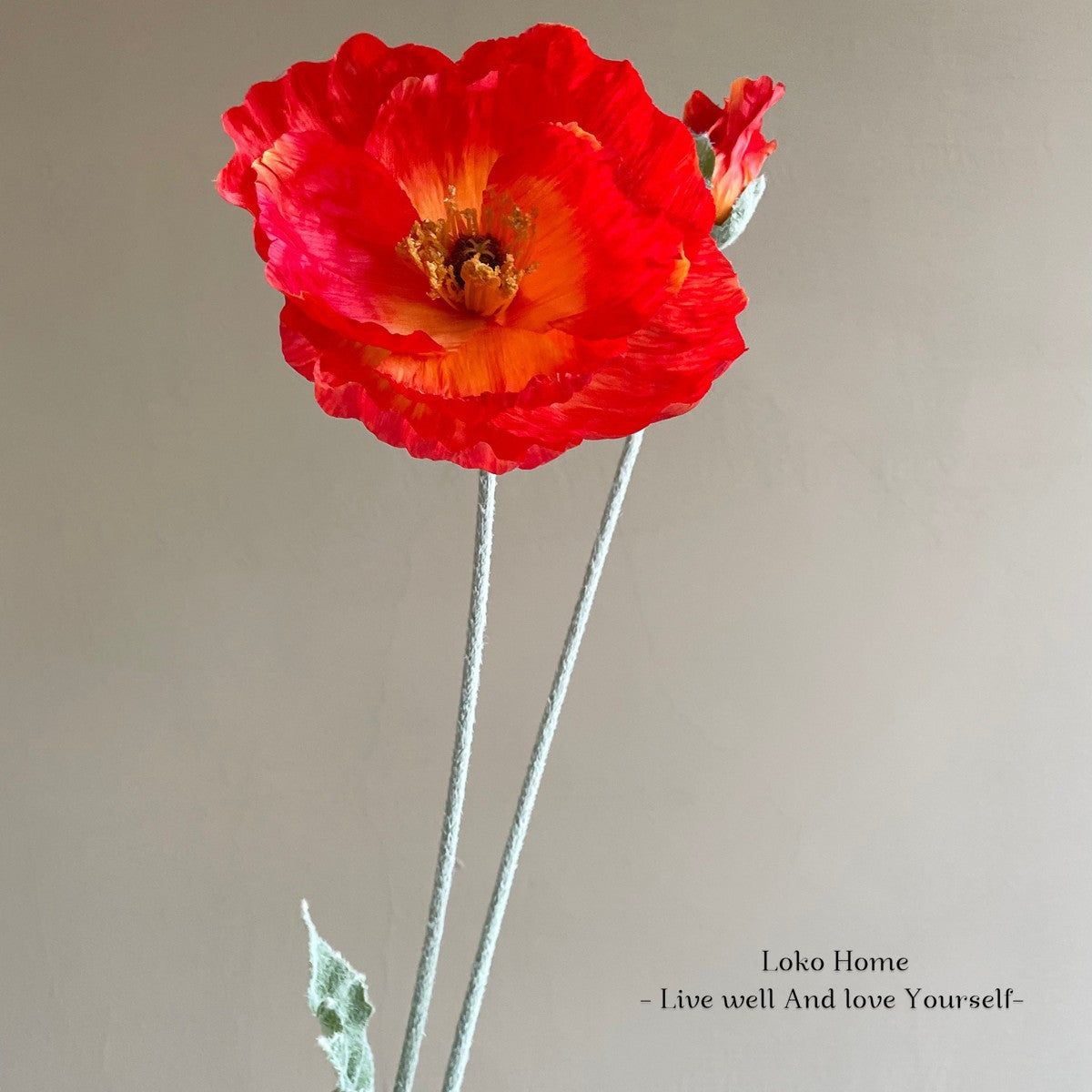 Lebensechter Mohnblumenstiel