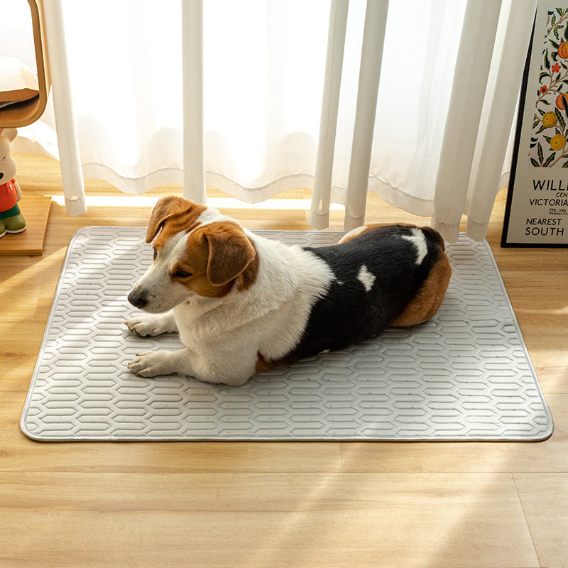 Orthopädische Komfort-Hundematte